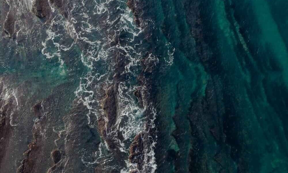 embodied yoga class Monday